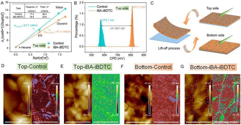 Crystallization Control Boosts Efficiency and Stability in Perovskite Solar Minimodules