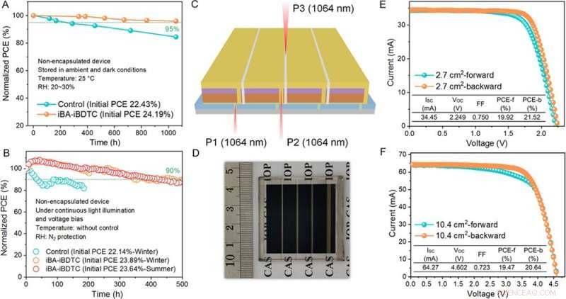 Crystallization Control Boosts Efficiency and Stability in Perovskite Solar Minimodules