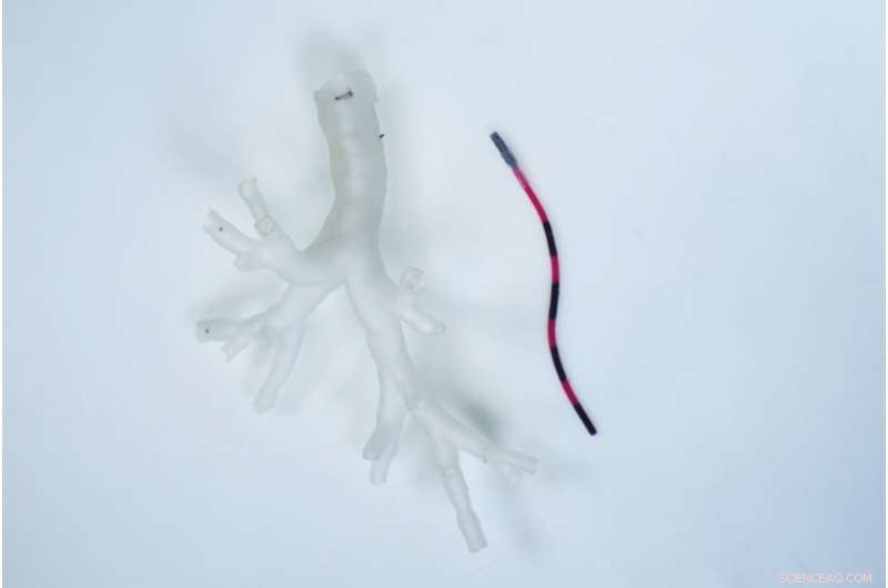 Magnetic Tentacle Robot Pioneers Access to Lung s Smallest Airways for Diagnostics and Therapy