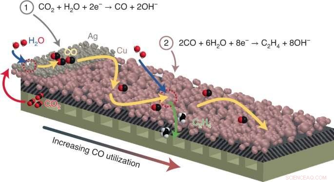 Electrochemical Innovation: Converting CO2 Emissions into Valuable Products