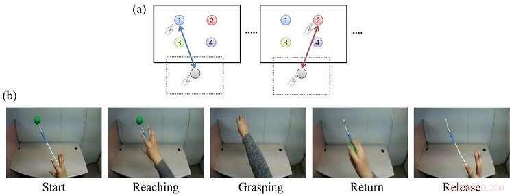 Brain-Computer Interface Breakthrough: Decoding Neural Signals for Robotic Arm Control in 3D Space