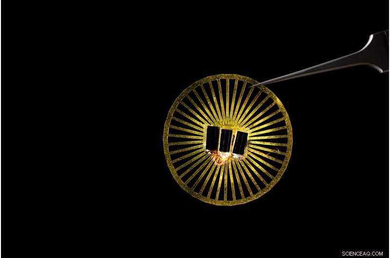 Wind-Powered Wireless Sensors: Battery-Free Devices for Environmental Monitoring