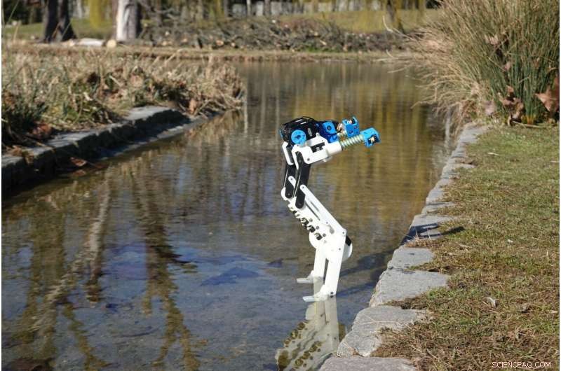 BirdBot: Biomimicry for Energy-Efficient Robotic Locomotion