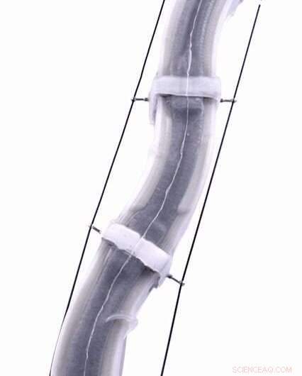 Streamlined Robotic Arms for Safe and Efficient Human-Proximity Tasks