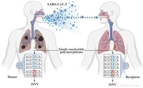 Variabel: AI Identifies Low-Frequency SARS-CoV-2 Variants