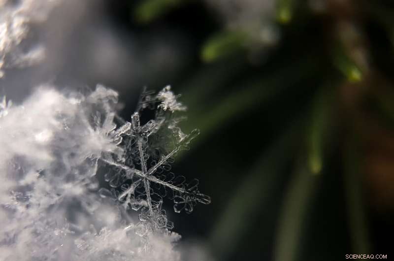 Texas 2021 Cold Snap: A Wake-Up Call for Power Grid Modernization