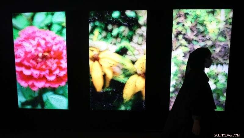 Art Dubai Debuts Digital Art Showcase in Strategic Push for Crypto Hub Status