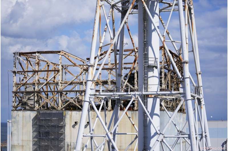 Fukushima Reactor Cleanup: Uncertainty Over Treated Water Release 11 Years After Disaster