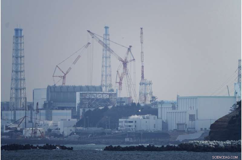 Fukushima Reactor Cleanup: Uncertainty Over Treated Water Release 11 Years After Disaster