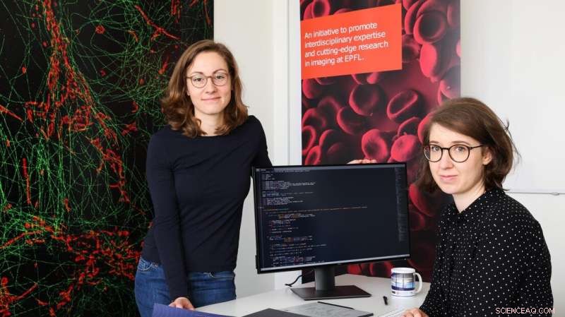 Deep Learning: A Powerful Framework for Advanced Image Analysis in Life Sciences