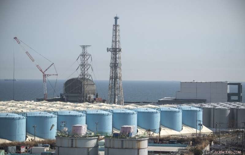 Fukushima Daiichi Decommissioning: Managing Radioactive Fuel and Contaminated Water