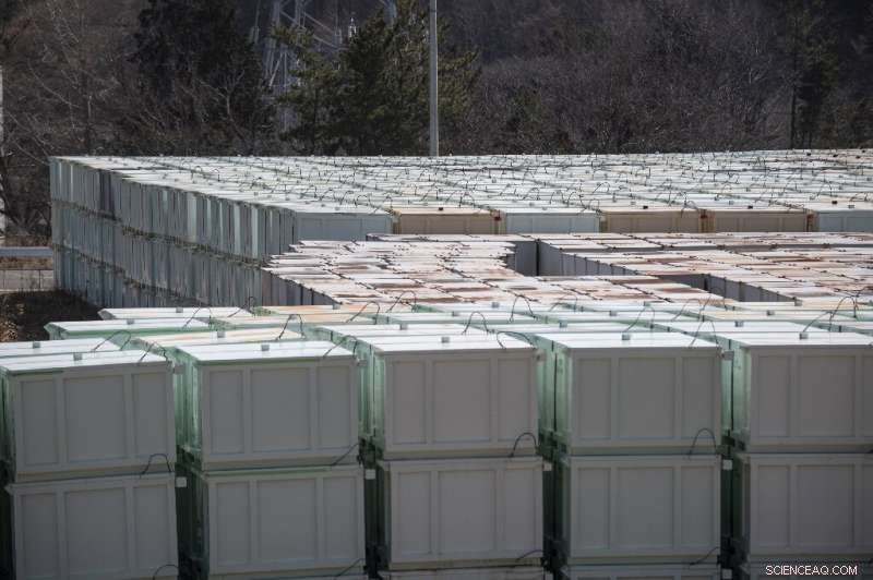 Fukushima Daiichi Decommissioning: Managing Radioactive Fuel and Contaminated Water