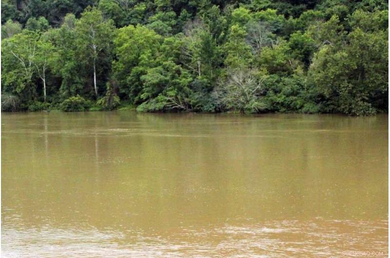 Engineers Develop Predictive Model for Dissolved Oxygen in Water Bodies