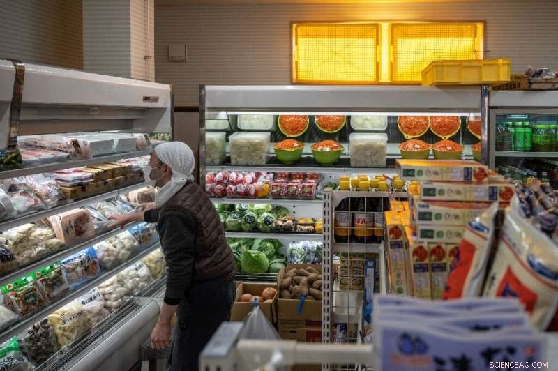 Fukushima s Green Transformation: Pioneering Renewable Energy After Nuclear Crisis