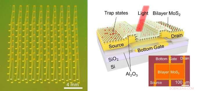 Advanced Bio-Inspired Vision Sensors for Adaptive Perception in Varying Light