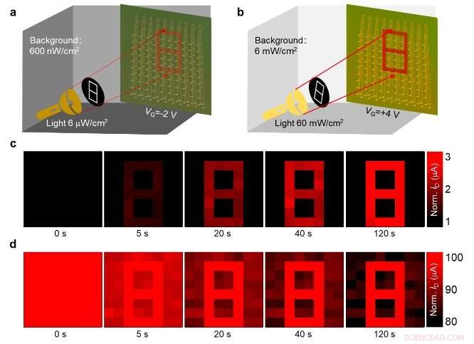 Advanced Bio-Inspired Vision Sensors for Adaptive Perception in Varying Light