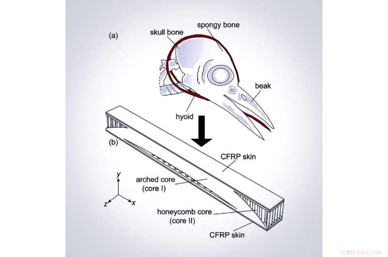 Bio-Inspired Composite Beams: Optimizing Impact Absorption with Woodpecker Head Design