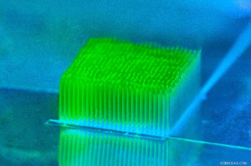 3D-Printed Nano-Structures Boost Bacterial Solar Energy Conversion