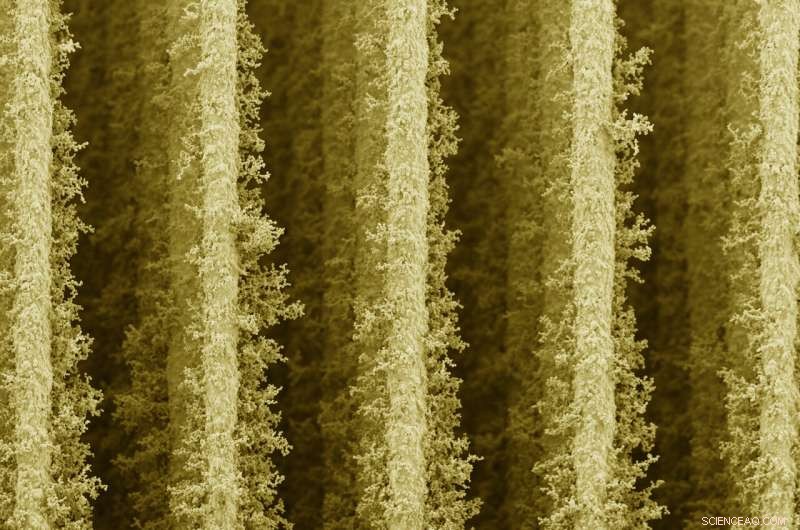 3D-Printed Nano-Structures Boost Bacterial Solar Energy Conversion