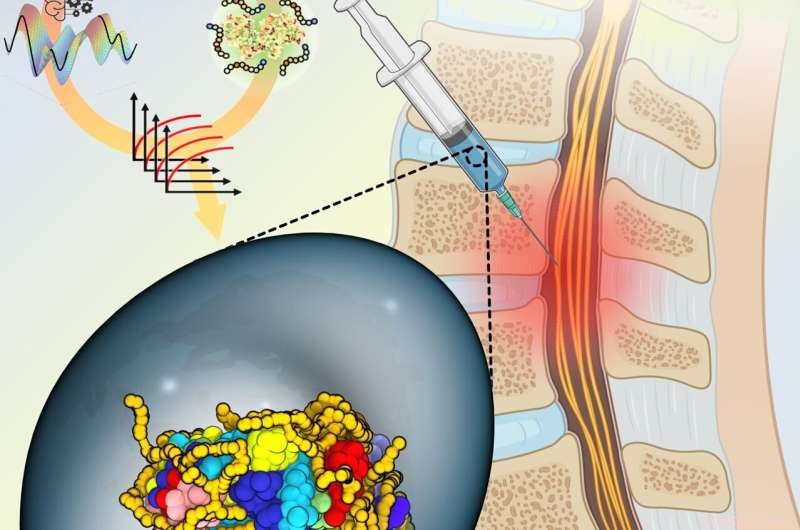 Breakthrough: AI and Robotics Stabilize Key Enzyme for Spinal Cord Injury Treatment