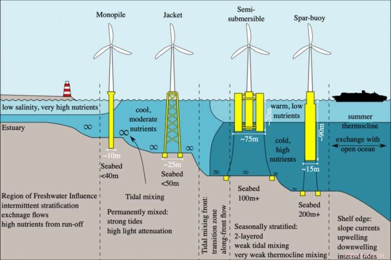 Floating Wind Turbines: Unlocking Deep-Water Renewable Energy Expansion