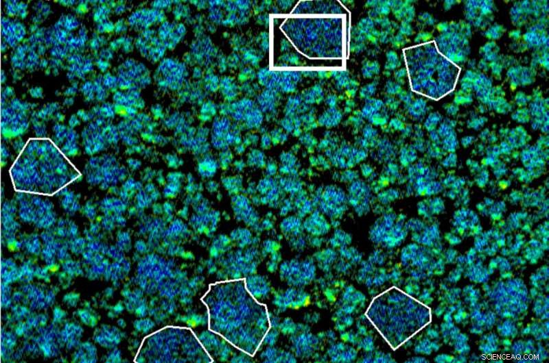 X-ray Discovery: How Oxygen Loss in Nanoparticles Enhances Lithium-Ion Battery Performance