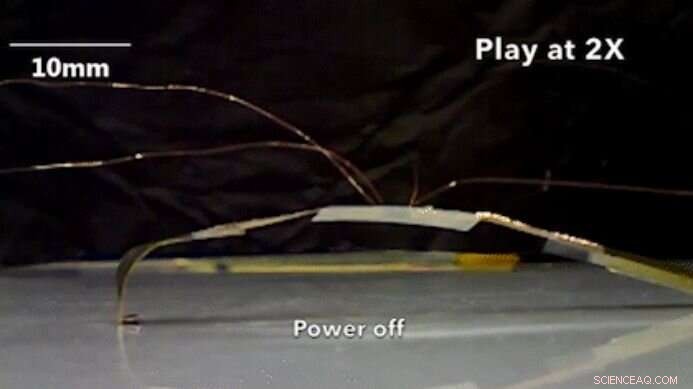 Insect-Inspired Robots for Unprecedented Access & Monitoring