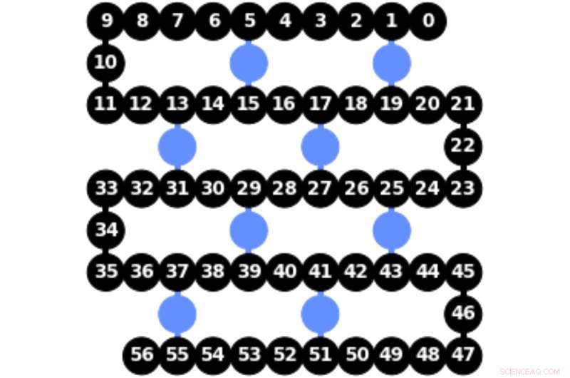 Time Crystals on Quantum Computers: Exploring Novel Quantum Phenomena