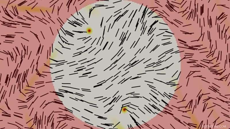 Liquid Crystals Enable Novel Computing: UChicago s Molecular Engineering Breakthrough