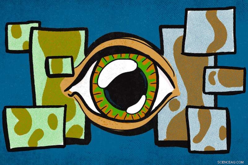 MIT Research: How Peripheral Vision Enhances Machine Perception