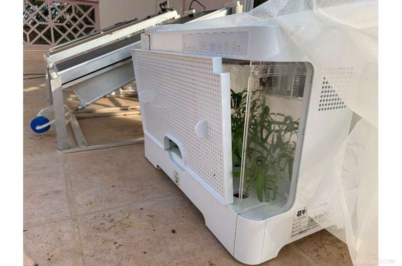 Solar Panel System Harvests Air Moisture to Sustain Crop Growth in Desert Regions