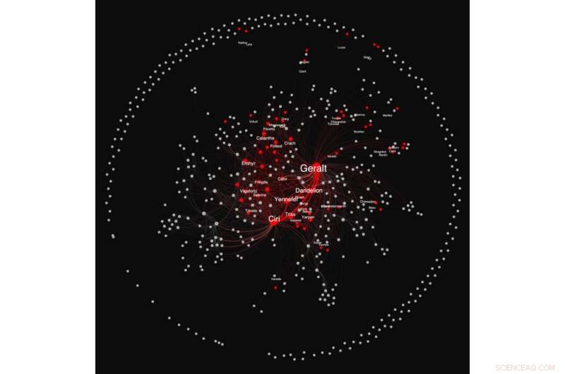 The Witcher Character Network: Data Scientist s Comprehensive Map and Analysis