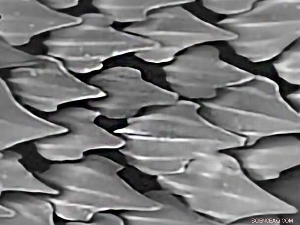 AeroSHARK: Advanced Thin Film Technology Slashes Aircraft Drag and Emissions