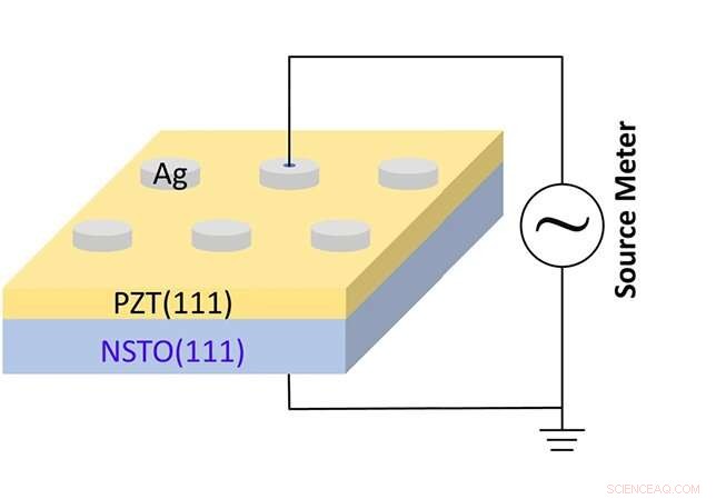 Ferroelectric Tunnel Junctions: Advancing Neuro-Inspired Computing