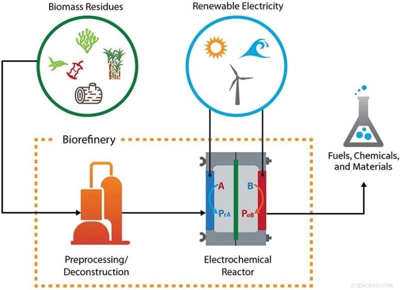 Beyond Fossil Carbon: Green Electricity Enables Low-Emission Fuel and Chemical Production