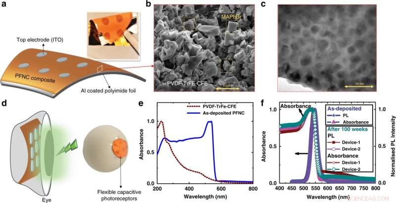 Efficient Artificial Retina Powered by Perovskite Ferroelectric Nanocomposite