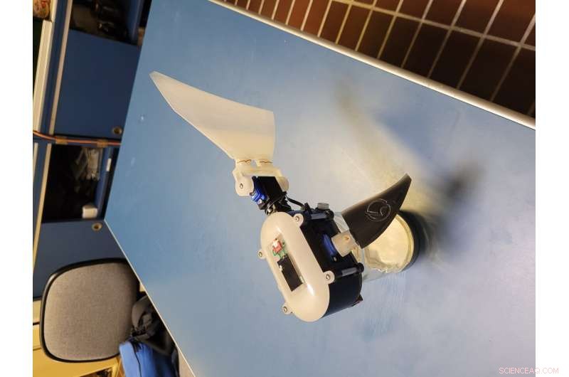 Innovative Labriform-Inspired Robot for Efficient Underwater Missions