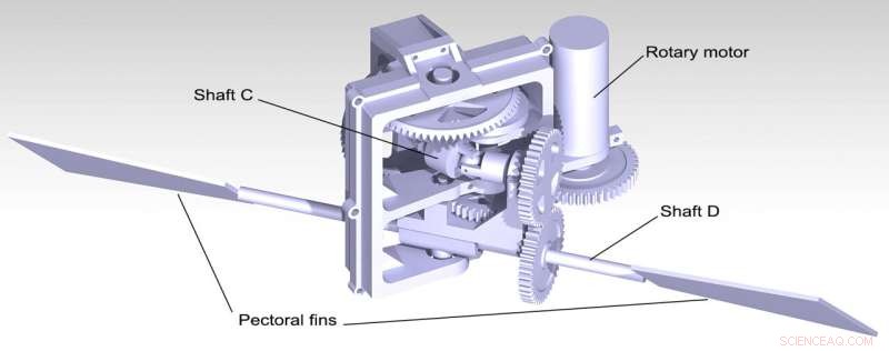 Innovative Labriform-Inspired Robot for Efficient Underwater Missions