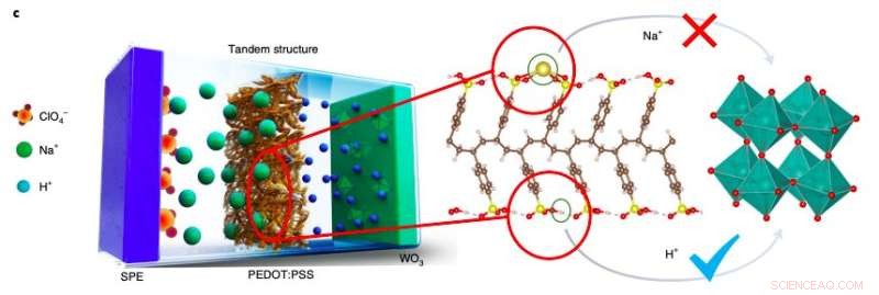Fast-Switching Electrochromic Devices: All-Solid-State Tandem Structure Innovation