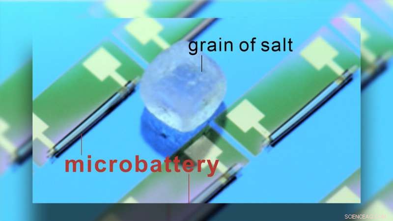 World s Smallest Battery: Powering Microscopic Computers for Smart Dust Innovation