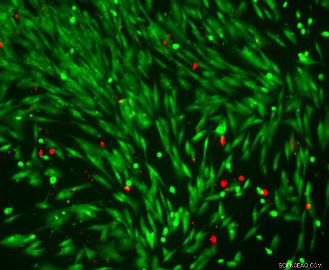 Light-Activated Microswimmers for Targeted Drug Delivery