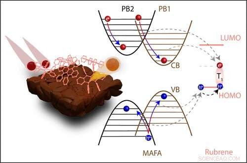 Perovskite Solar Cell Breakthrough: Process Optimization for Enhanced Efficiency and Longevity