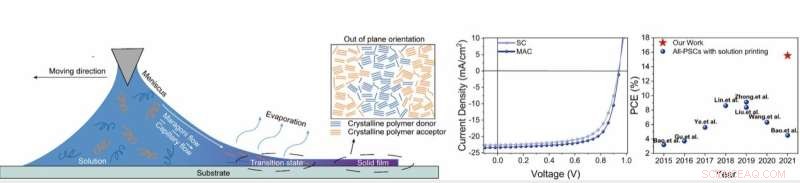 Breakthrough in All-Polymer Solar Cells: Meniscus-Assisted Coating Boosts Efficiency and Stability