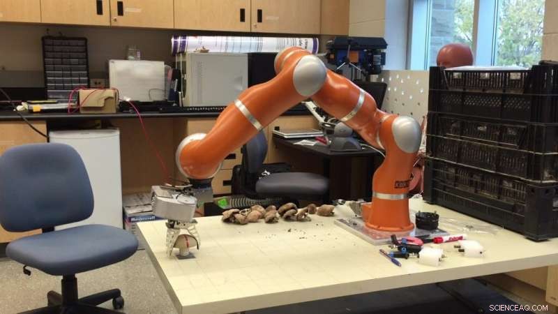 Robotics Professor s Autonomous Robot Revolutionizes Mushroom Harvesting Amid Labor Shortages