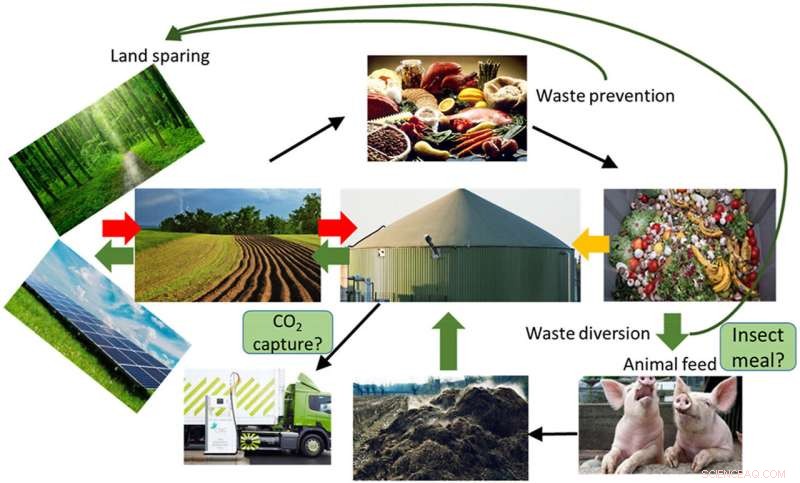 New Study: Prioritizing Waste Prevention Outperforms Biogas for Climate Goals