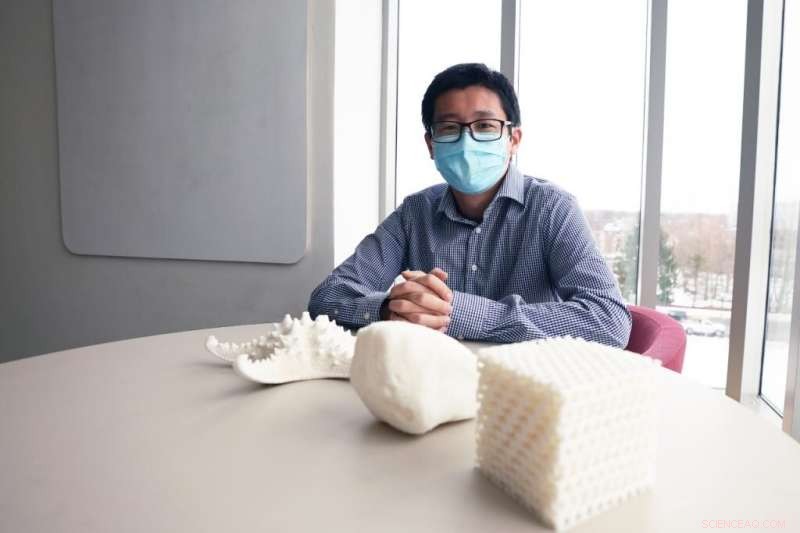 Starfish-Inspired Ceramic Microlattice Breakthrough for Ultra-Durable Materials