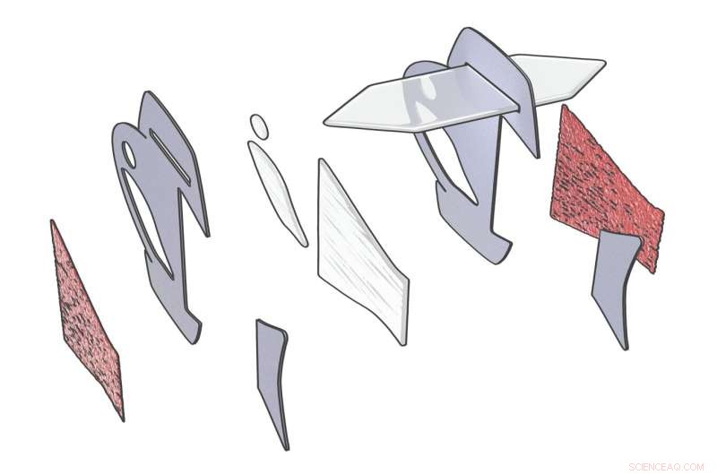 First Autonomous Biohybrid Fish Powered by Human Cardiac Cells Mimics Heartbeat Swimming