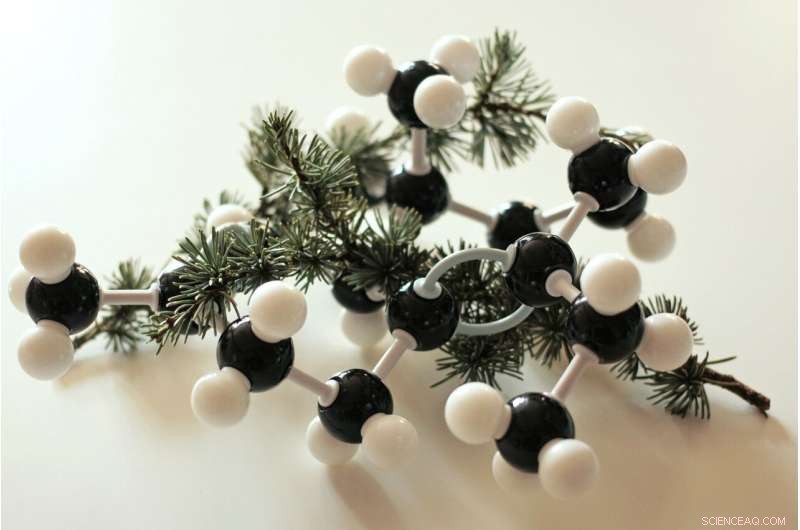 DOE s Ames Lab Breakthrough: Efficient Hydrogen Extraction with Metal-Free Catalyst