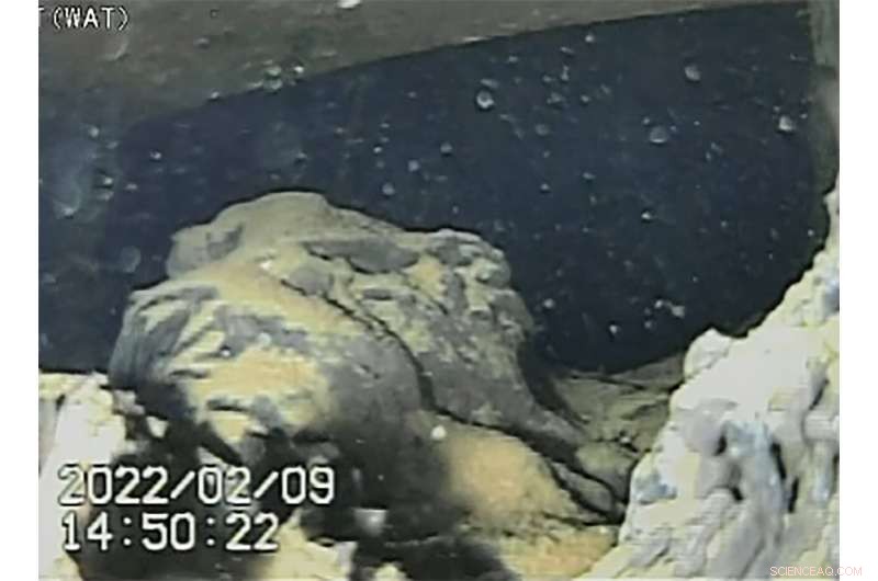 First-Ever Robot Images Reveal Melted Fuel at Fukushima Reactor