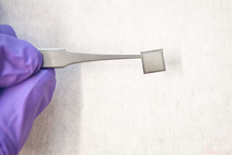 Reprogrammable Chip Breakthrough Enables AI to Learn Continuously Like the Human Brain